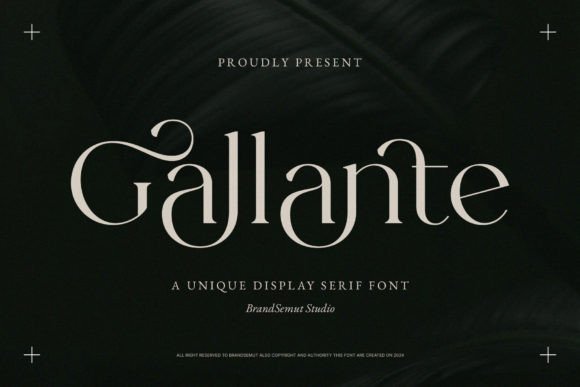 Gallante: A Display Serif Font That Elevates Web Design